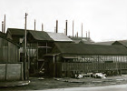 1950